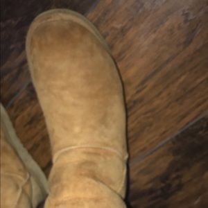 Chestnut Ugg’s